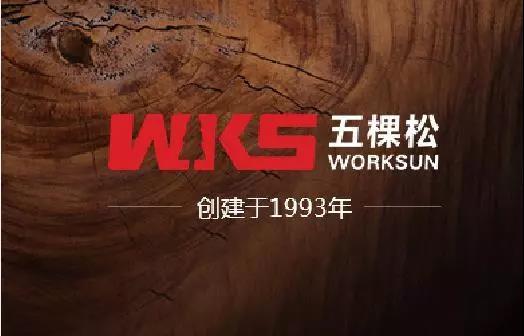 圣淘沙名胜世界集团助力沧州新地标---京贵大厦